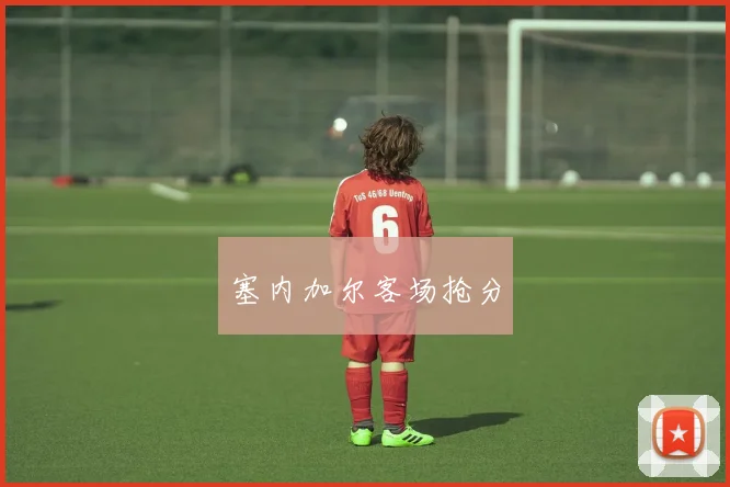 塞内加尔客场抢分